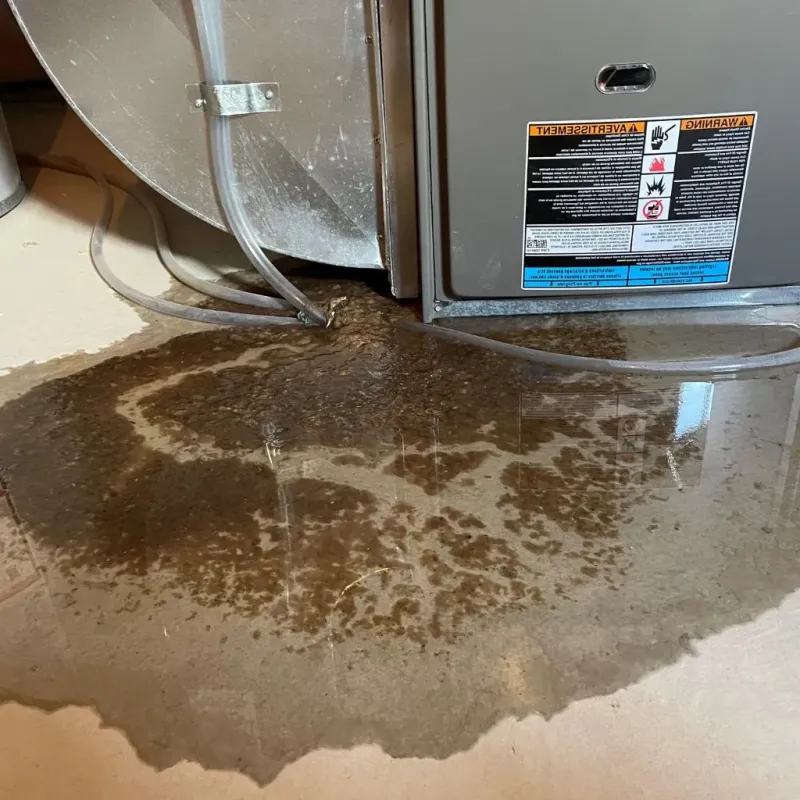 Pipe Burst and Leak Restoration in Meeker, OK